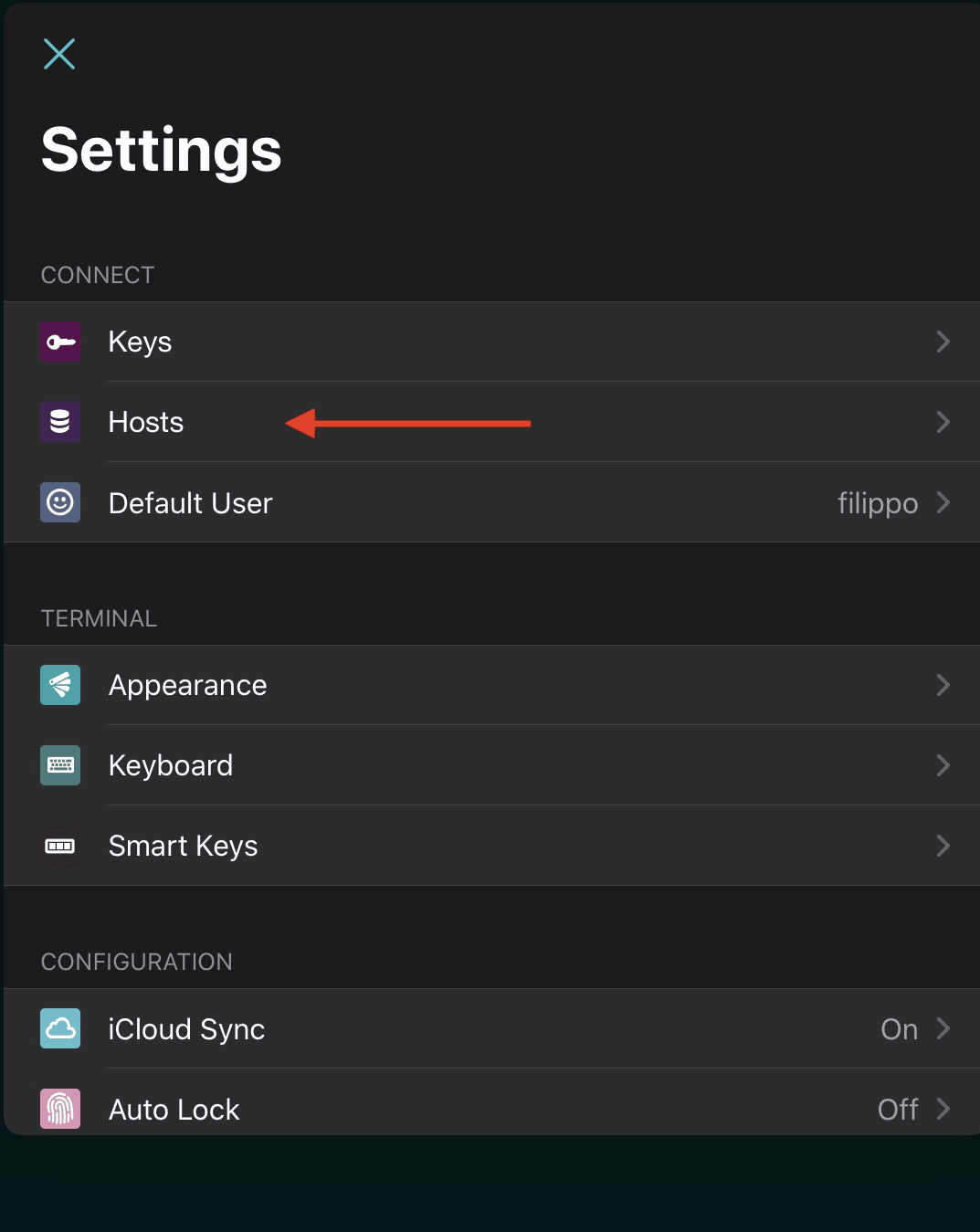 Immagine delle preferenze “Settings“ di Blink Shell