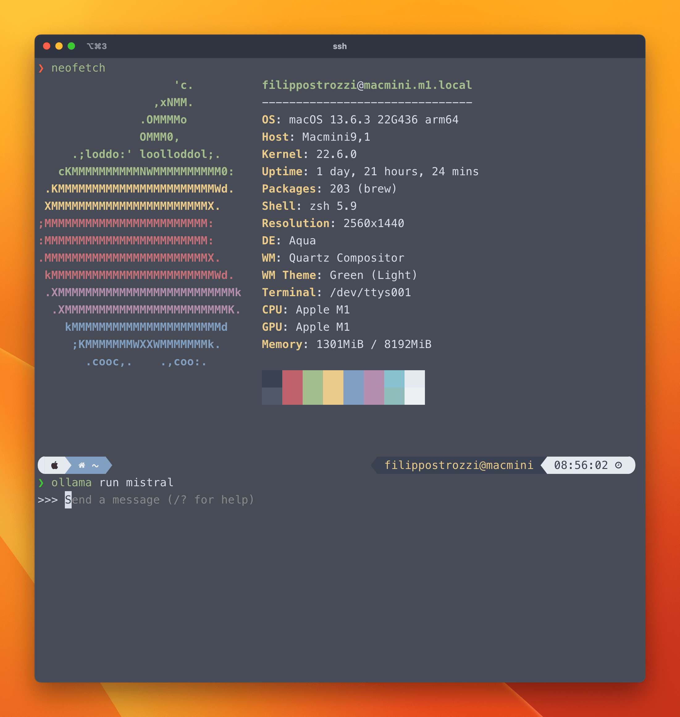 Esempio di chat con Mistral via Terminale sul mio MacMini M1