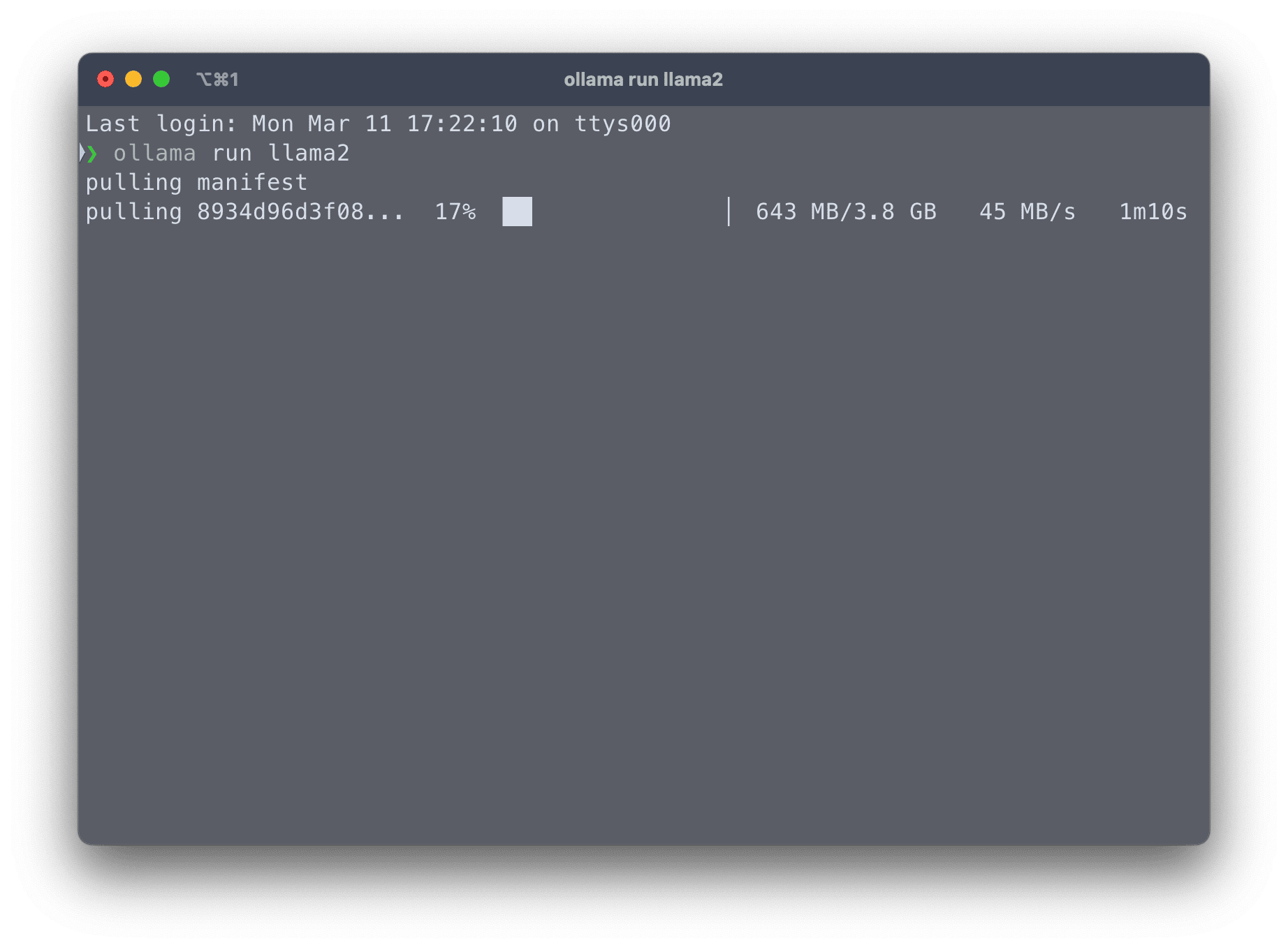 Esempio di download del modello di LLM